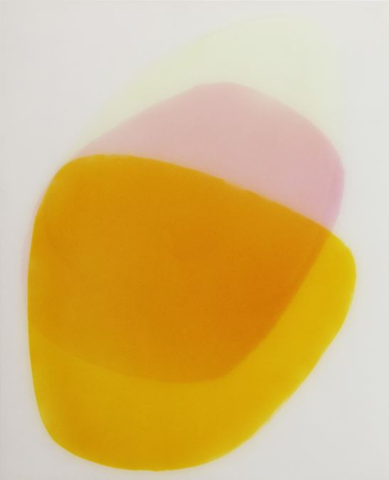 5019