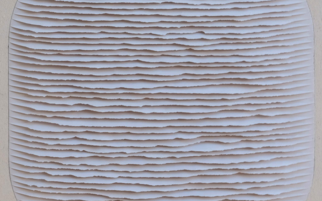 Light gray shape