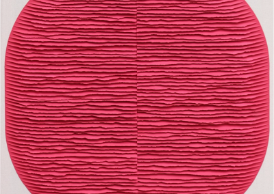 Raspberry Form