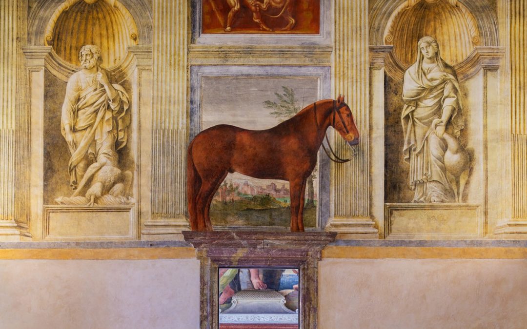 The Favorite Horse, Italy