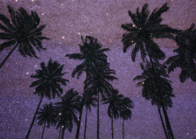 Endless Aloha
