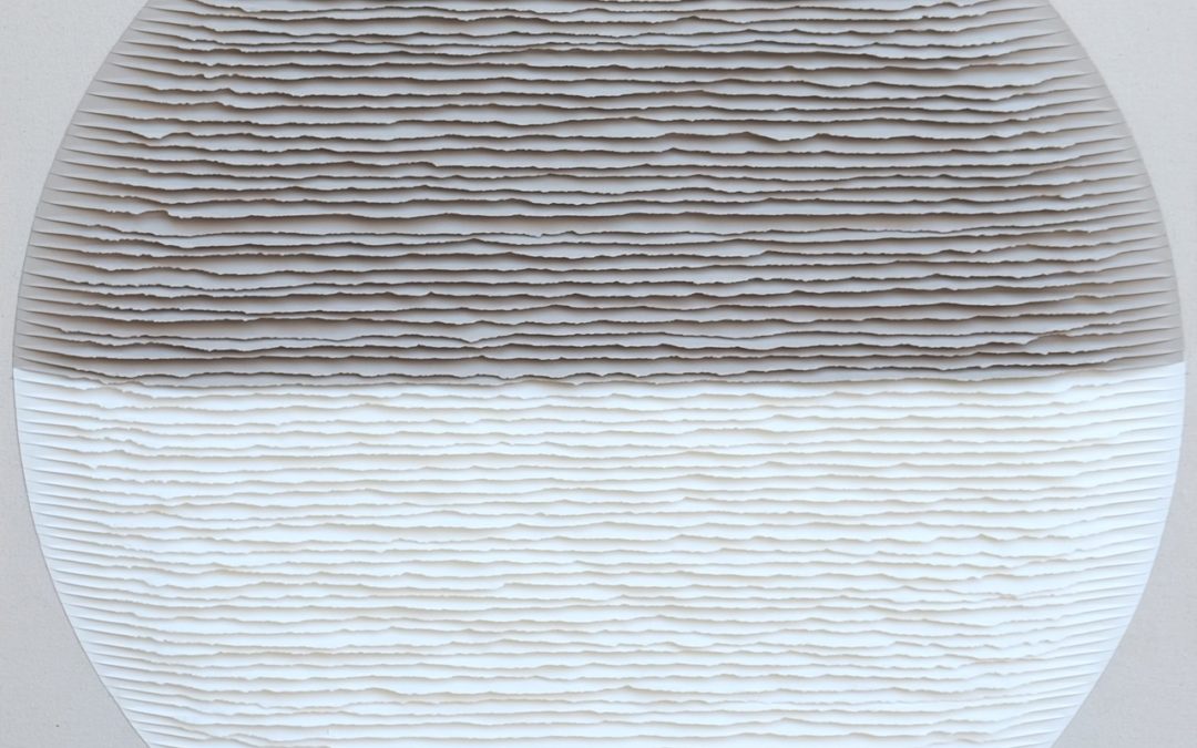 Gray and white circle
