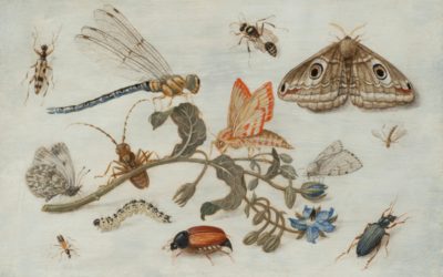 March’s Picture – Jan van Kessel the Elder