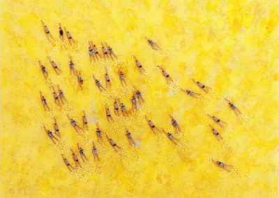 Swimmers 404 Yellow coral reef Indonesia sea